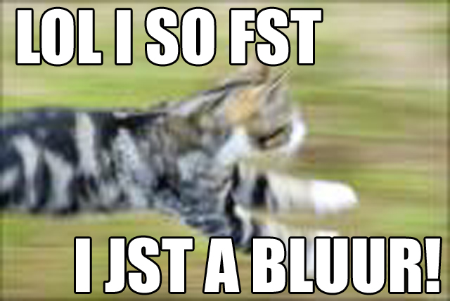 lolcat_45_running.jpg