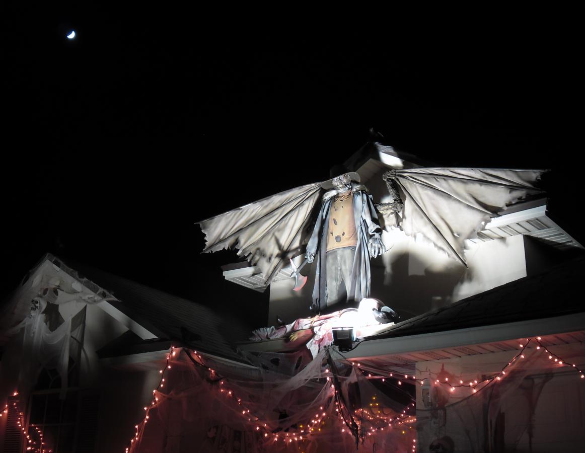 Pumpkinrot Com The Blog Every 23rd Spring