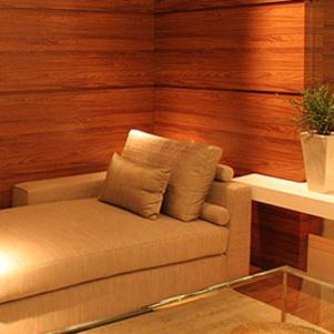 Lizbeth Guido: RECUBRIMIENTO Y DISEÑO DE FACHADAS