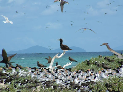 (Australia) – The Great Barrier Reef