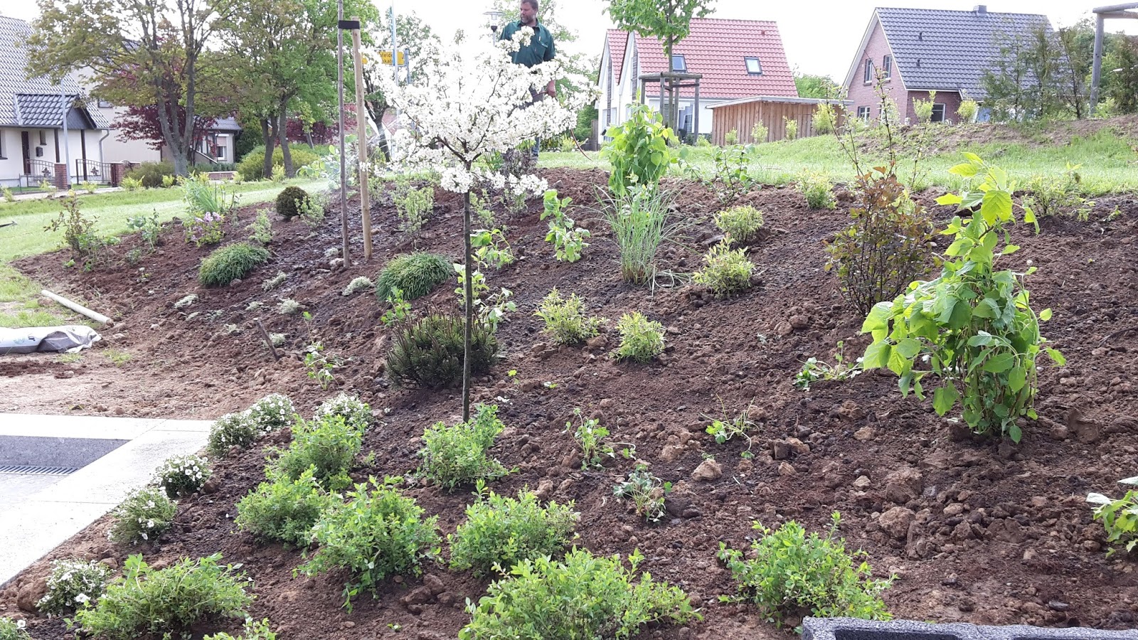 Unser Abenteuer Hausbau 2013/2014 Garten, Hang und