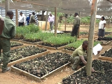 Instituto Agrário do Chimoio volta a ser referência nacional Instituto Agrário do Chimoio volta a ser referência nacional