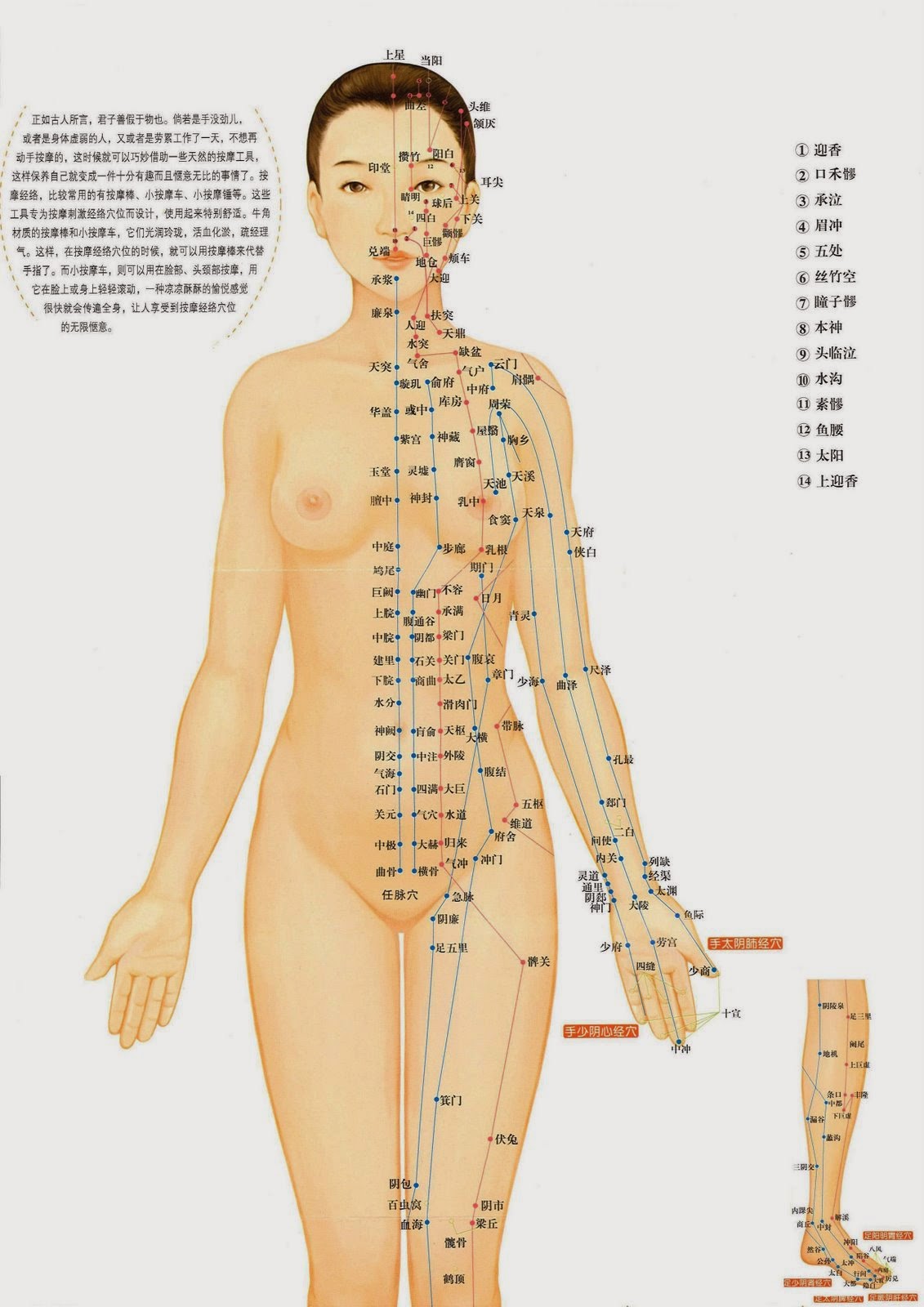 Holistic Health Philosophy and Practice: So How Does Acupuncture Work? 