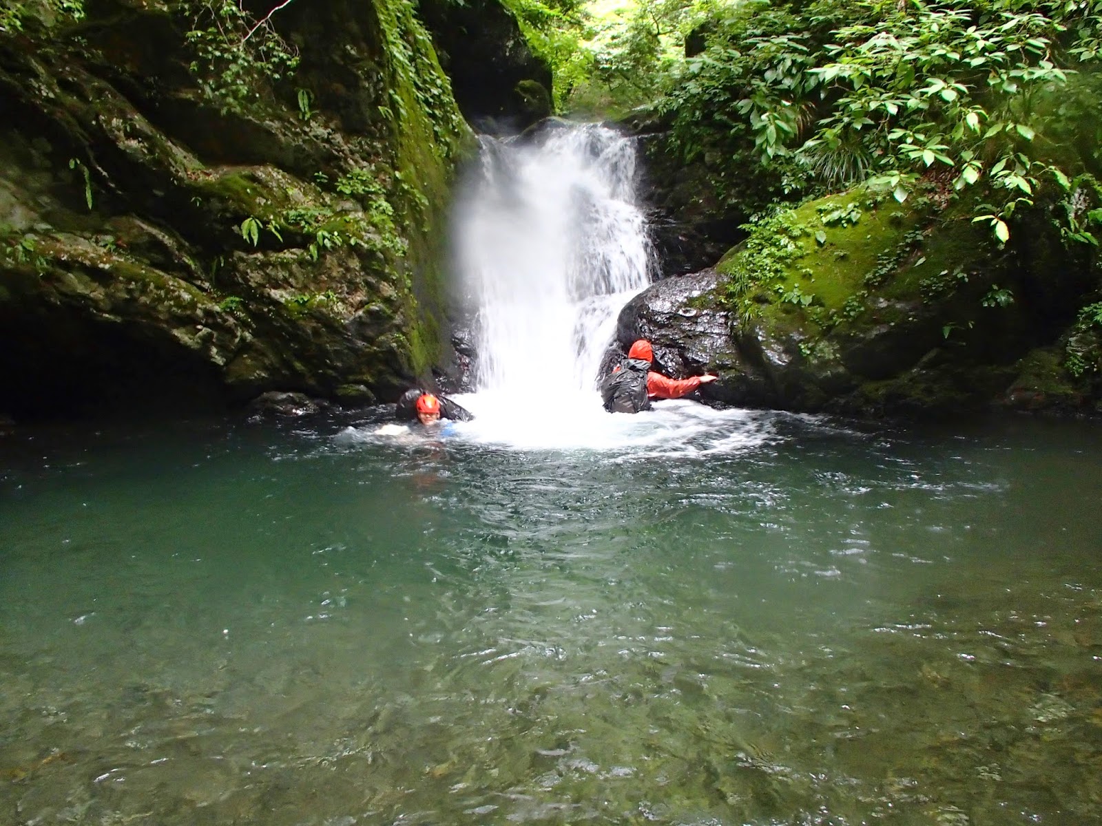 Univ Tokyo Wandervogel Club 沢企画 海沢川fb