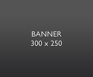 banner 300