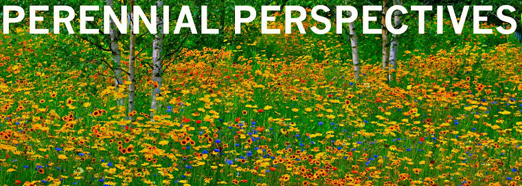 PERENNIAL PERSPECTIVES