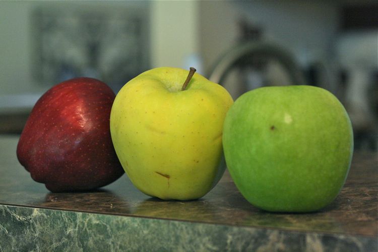 Icahn: apple should do $150 billion stock buyback Journey To Josie: Apple Unit