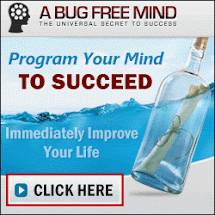 Create A Bug Free Mind