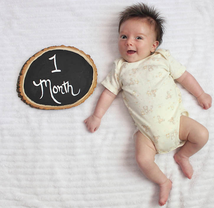 DIY Baby Month Sign Gina Michele