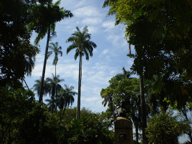 Jardim Botânico - Rio de Janeiro