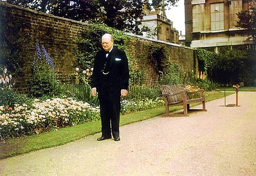 Fascinating Historical Picture of Winston Churchill  in 1943 