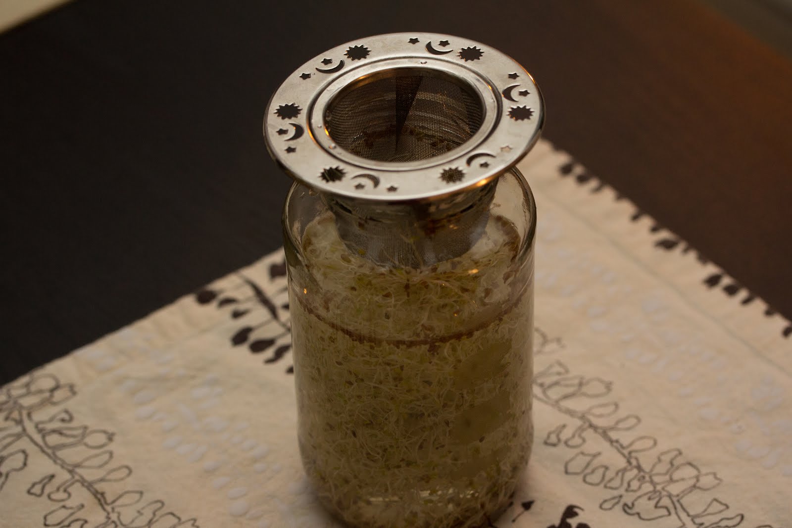 and she cooks too!: DIY Sprouting Jar