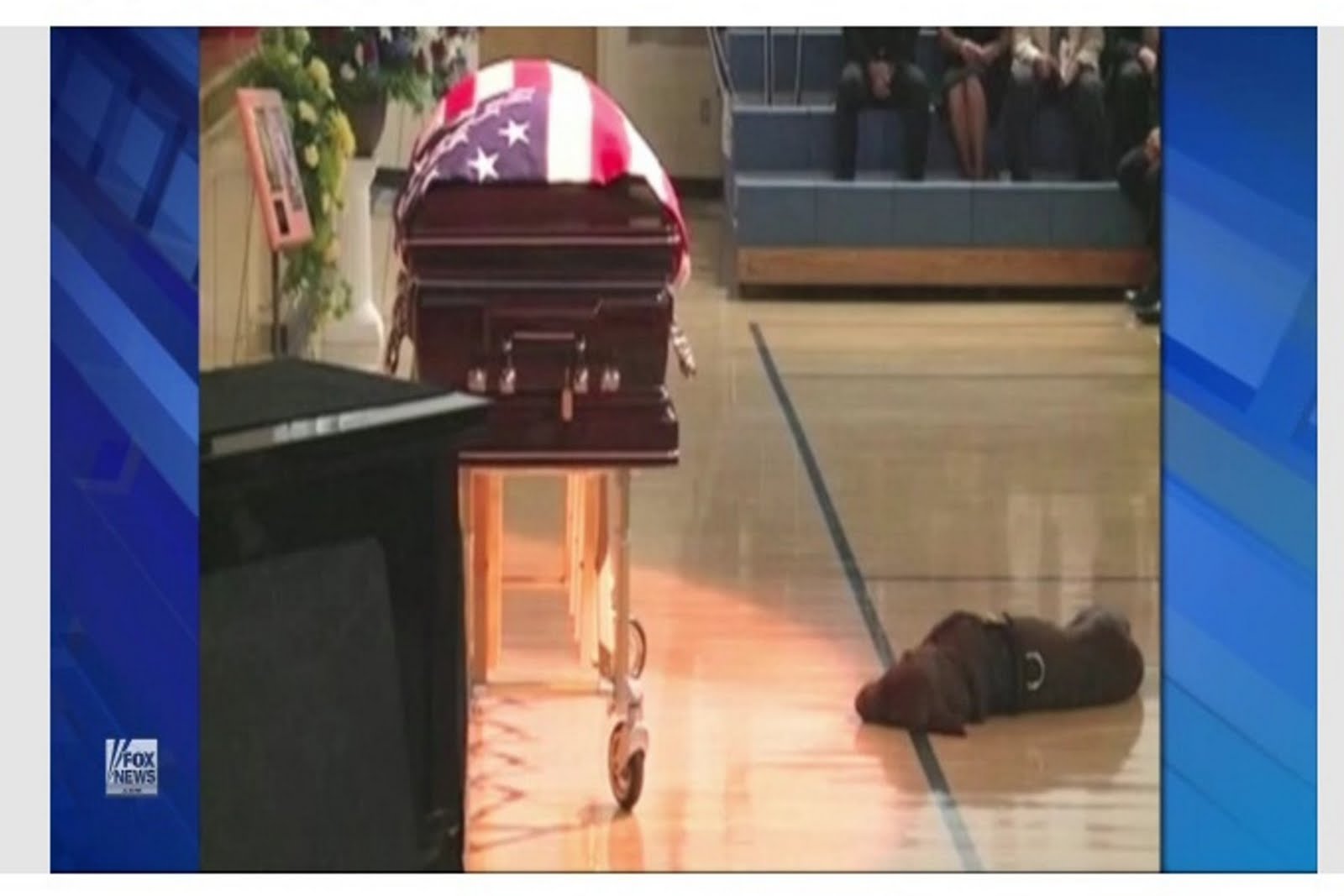 The Rattington Post Faithful to the last Slain Navy SEAL's dog stays