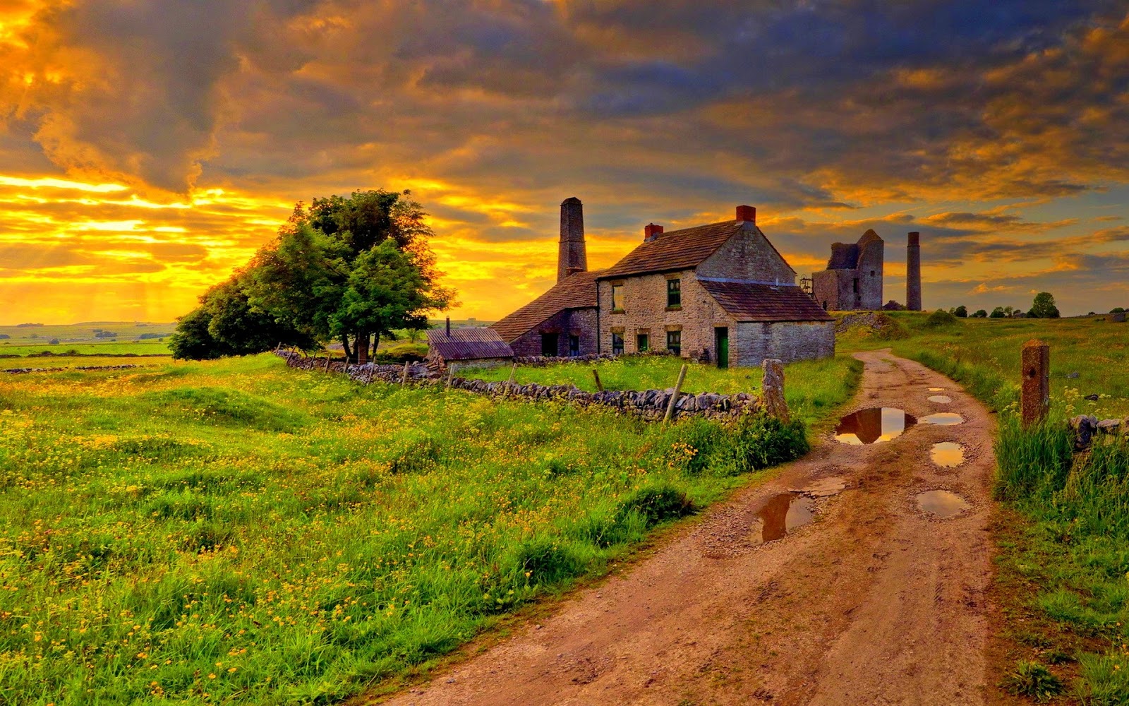 Lost Identity 1984: p.Book - Far from the Madding Crowd