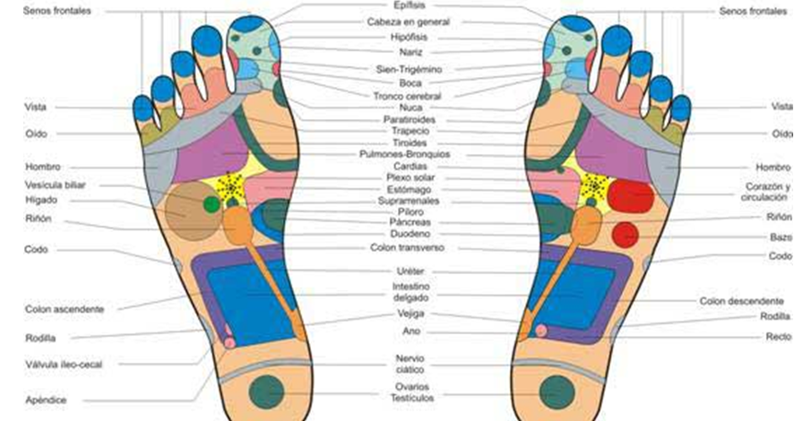 MEDICINA ALTERNATIVA: REFLEXOLOGIA PODAL
