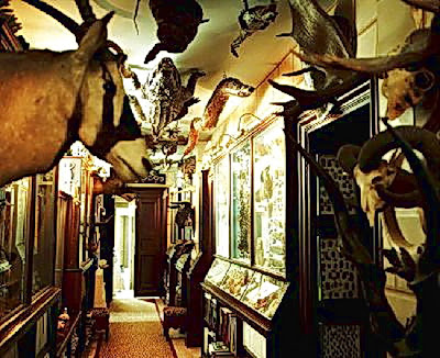 vous avez rencontrer un bel inconnu