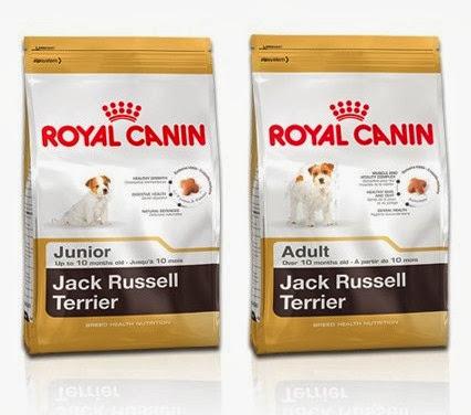 Royal Canin Jack Russell