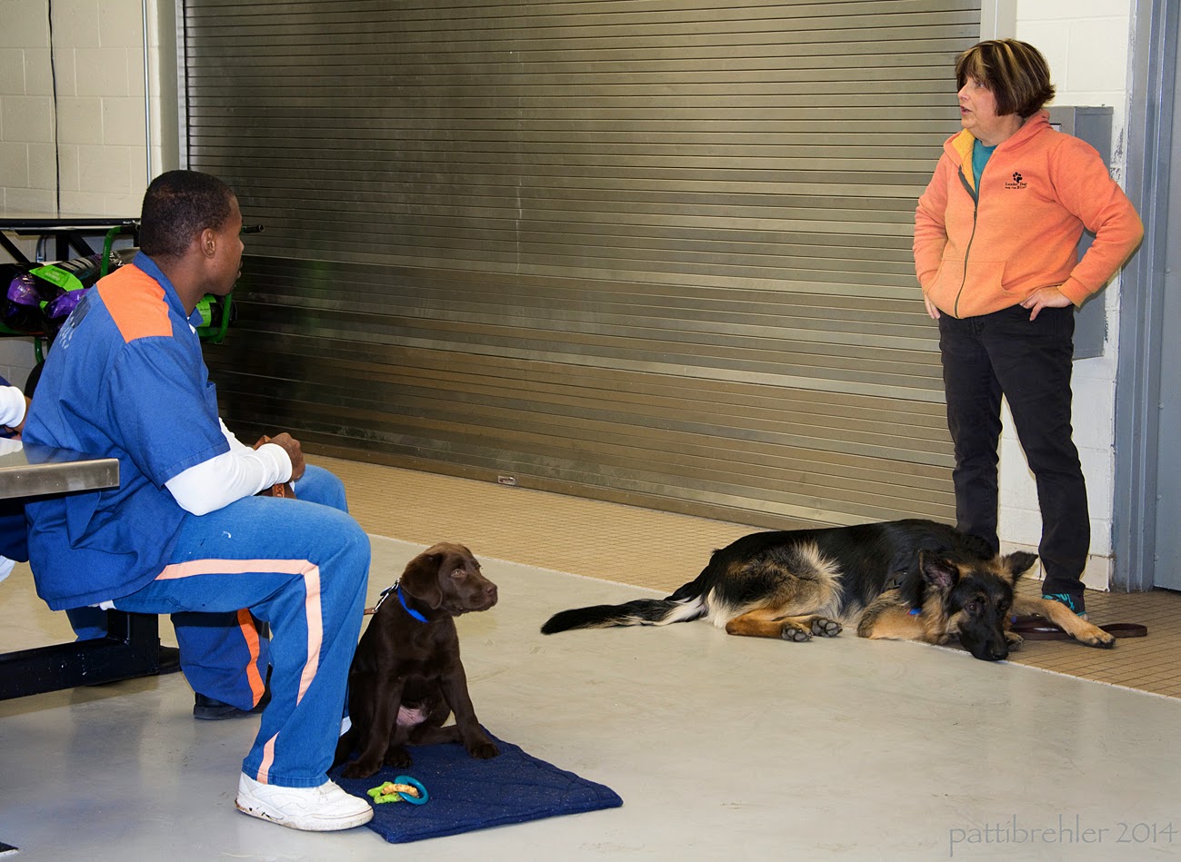 A woman dressed in black pants and an orange fleece jacket is standing with her hands on her hips on the right of the picture. At her feet is sprawled a large german shepheard dog, he is practically lying on her feet with his chin resting on the tile floor. He is facing to the right. On the left of the picture is an african american man sitting on a lunch table stool facing the woman. He is wearing the blue prison uniform and white shoes. At his feet in front of him is a small chocolate lab that is sitting on a blue mat with a yellow, green, and lbue nylabone puppy chew toy in front of him. The puppy is wearing the blue Future Leader Dog bandan and is facing the right.