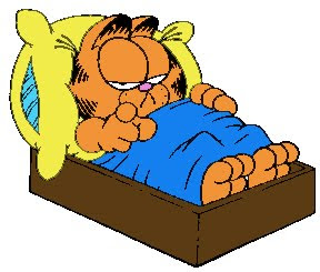 http://2.bp.blogspot.com/-iCZjPbxxvWo/TicoV0vVVqI/AAAAAAAAAXw/JmQYhGRShJY/s400/garfield%2Bsleeping.jpg