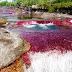 The River Of Five Colors - Cano Cristales