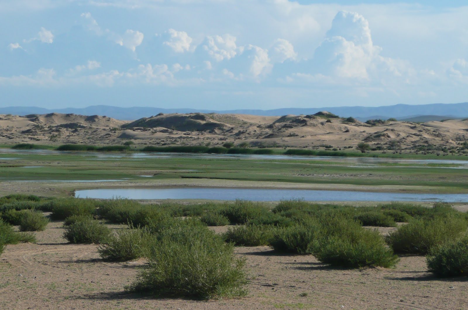 Mongolian Countryside