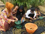 Kontribusi PKK di Muarojambi