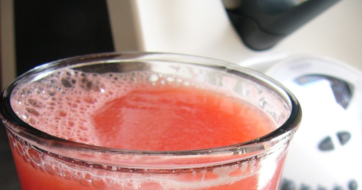 Tebasiles Kitchen Blender Fruit Juice