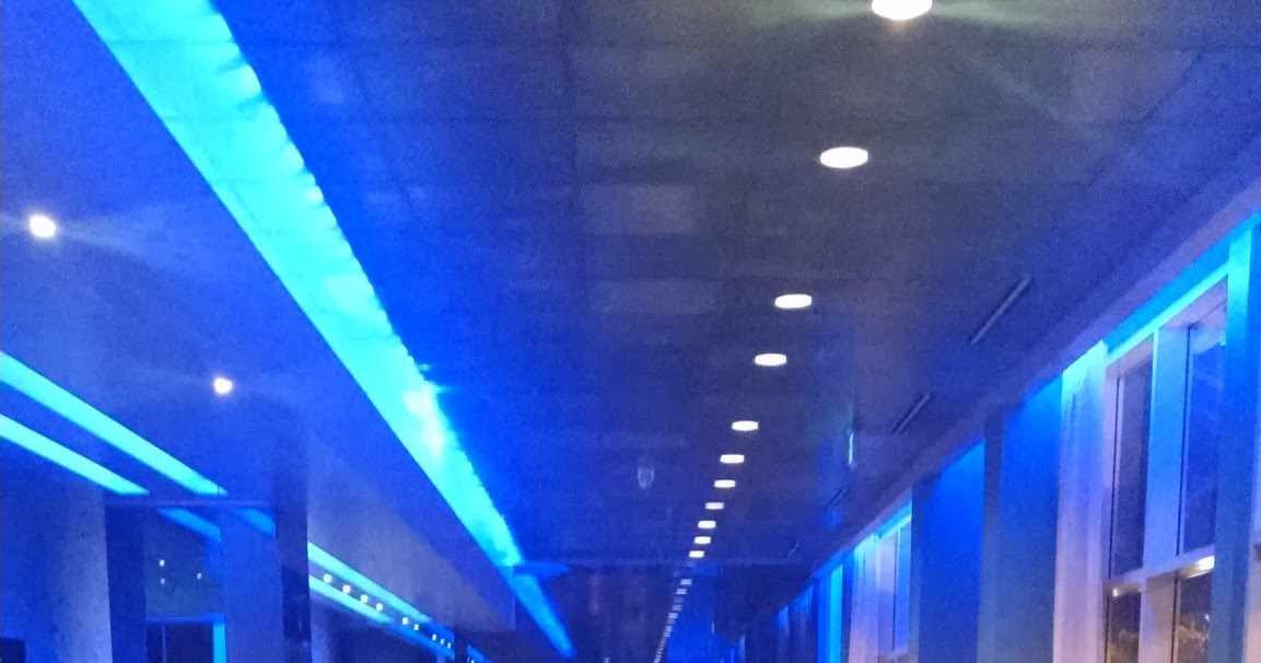 Eat Local Orlando Mingo's Restaurant Downtown Orlando