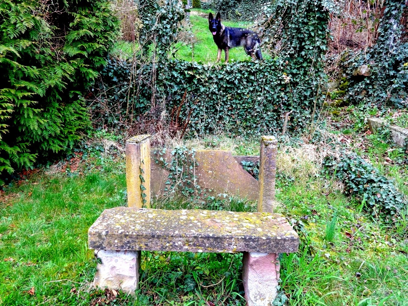 floor 07 wabi sabi oder plausch auf der bordsteinkante