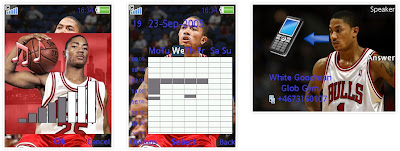 Derrick Rose SonyEricsson手機主題for Elm/Hazel/Yari/W20﹝240x320﹞