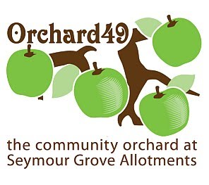 Orchard 49