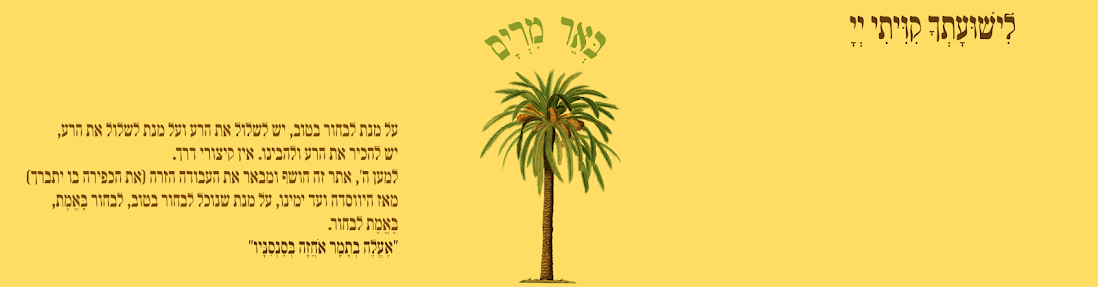 באר מרים