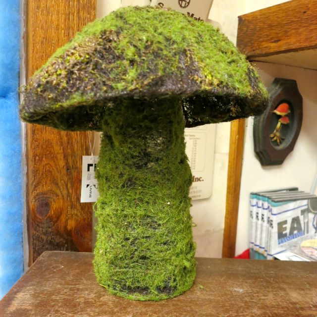 The Veracious Vegan Annual Mushroom Festival in Square, PA