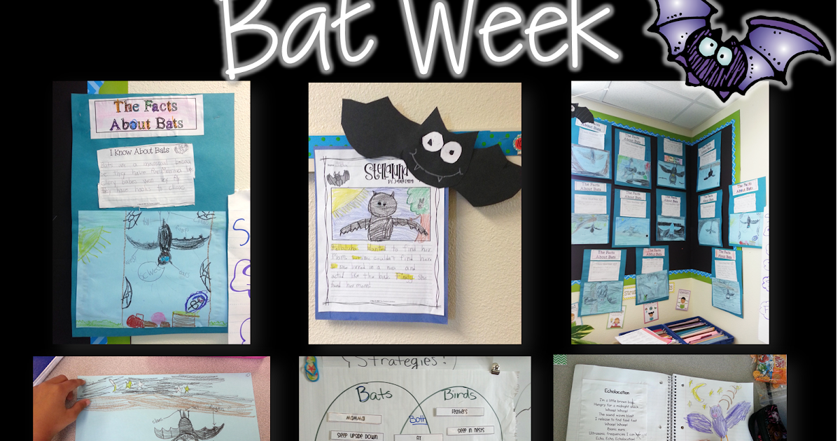 Planning for Bat Week