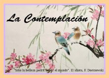 Blog La contemplación