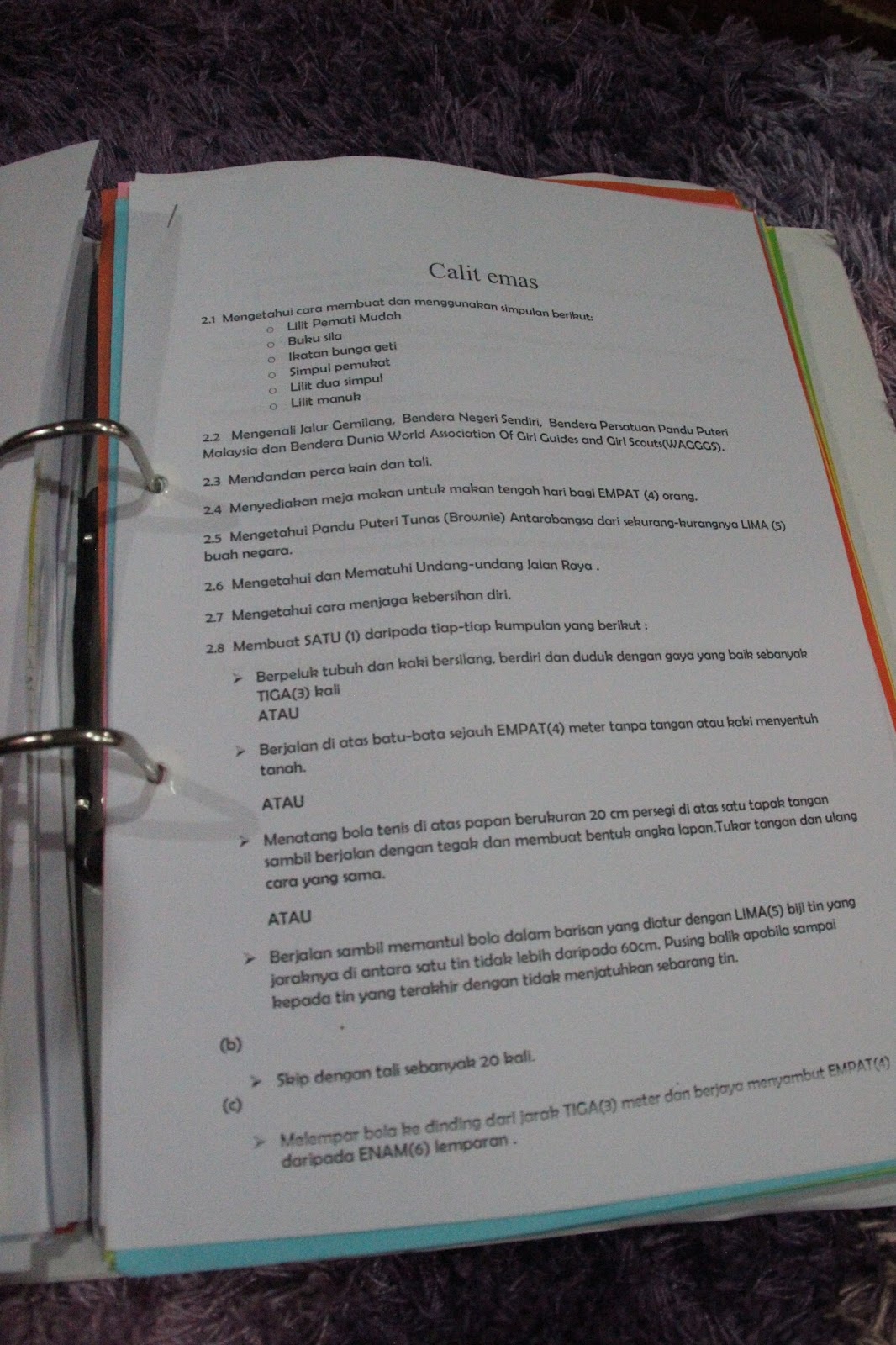 PANDU PUTERI TUNAS KEDAH: Calit Emas