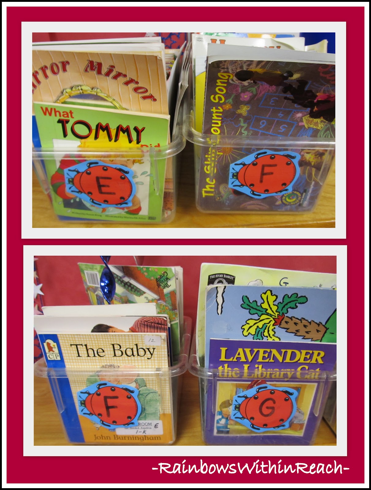 RainbowsWithinReach Organization in The Classroom