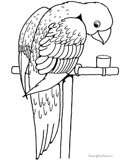 Cute Bird Coloring Pages