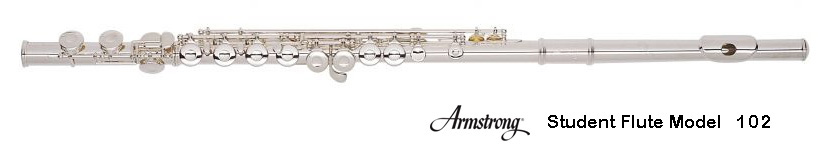 The Silent String Quartet 2015