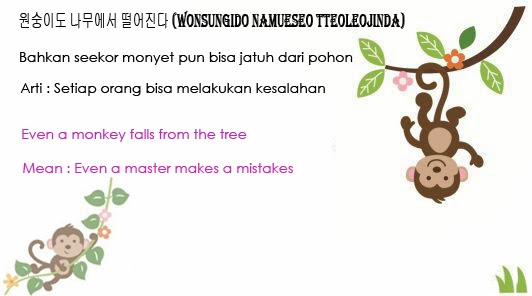 Tokki Bunny Korean Proverbs And Expressions