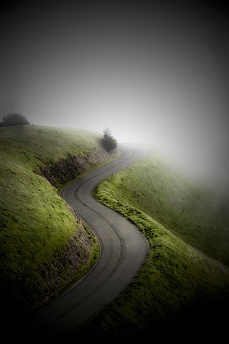 path into the mist