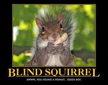 Bay State Road Sports Northeastern Preview Even The Blind Squirrel Finds A Nut Once In A While