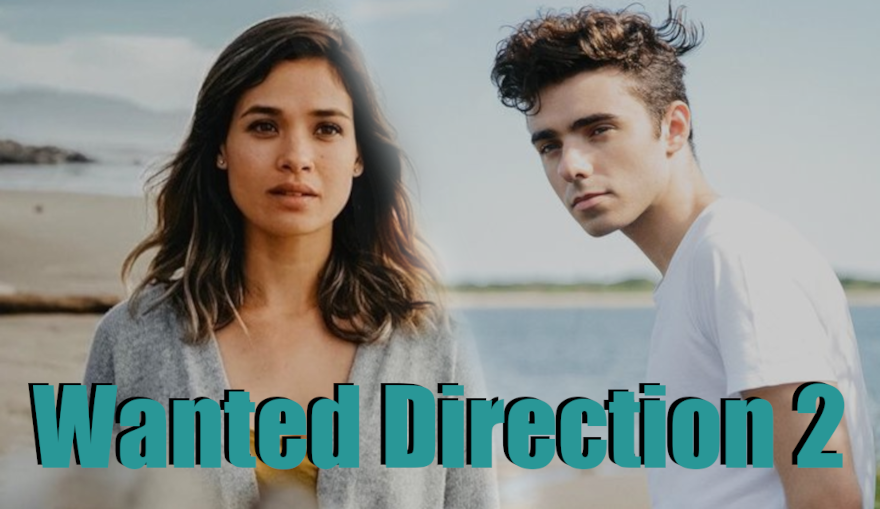 Wanted Direction 2