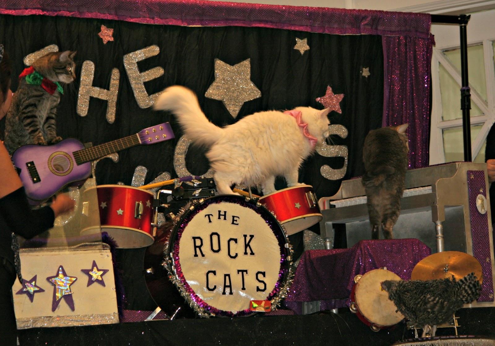 Two Bears Farm and the Three Cubs May 2013