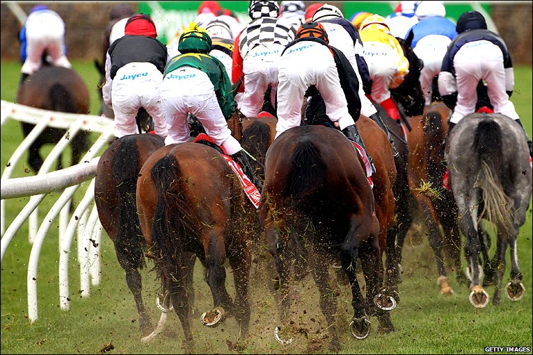 Sherpa English Jockey For Position