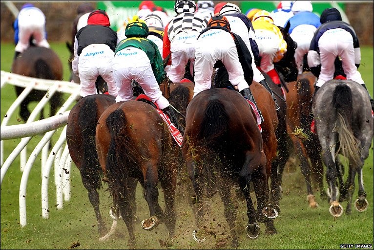 Sherpa English Jockey For Position