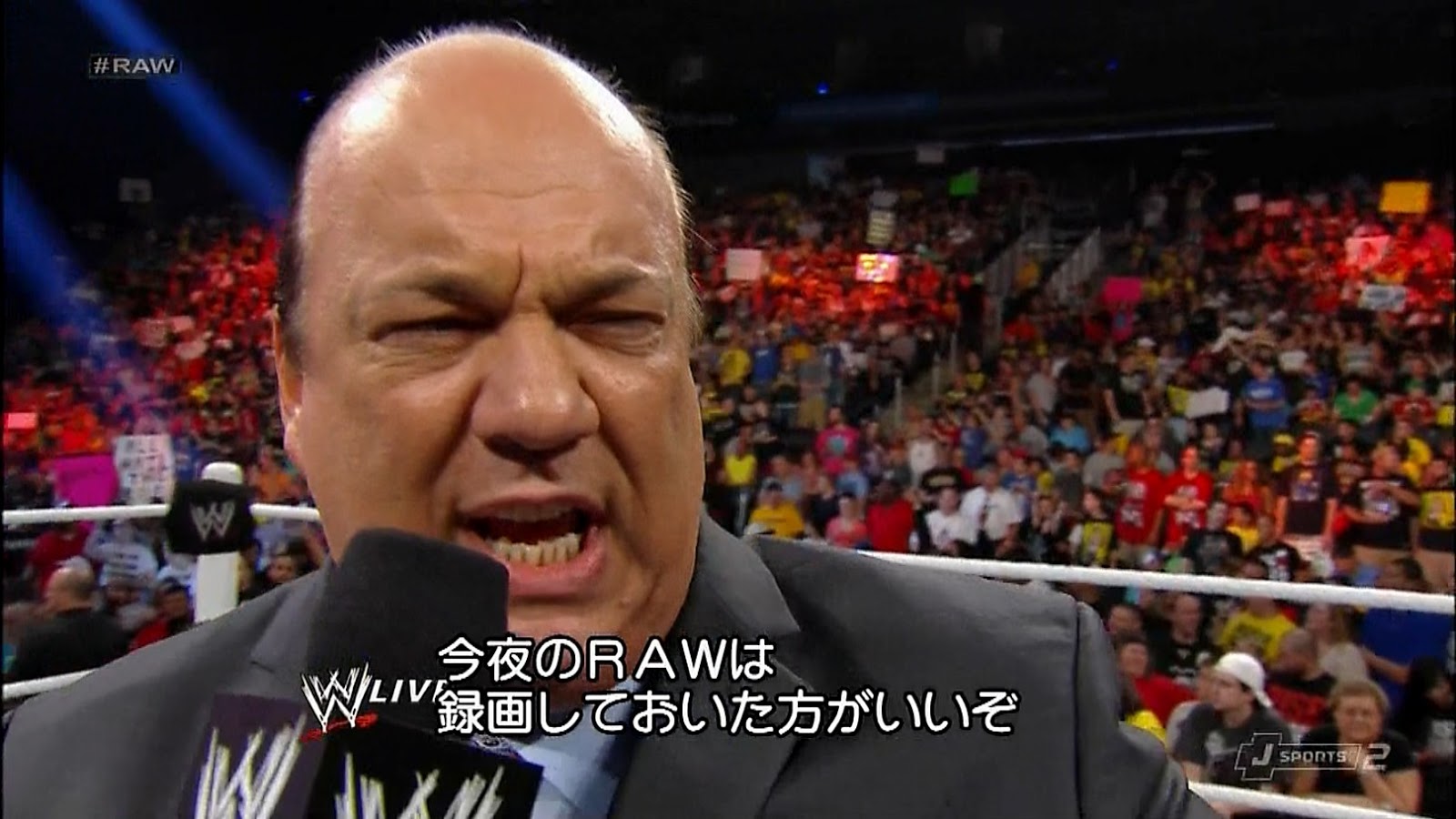 割引クーポン WWE フィギュア ブラッドライン ローマンレインズ ポール