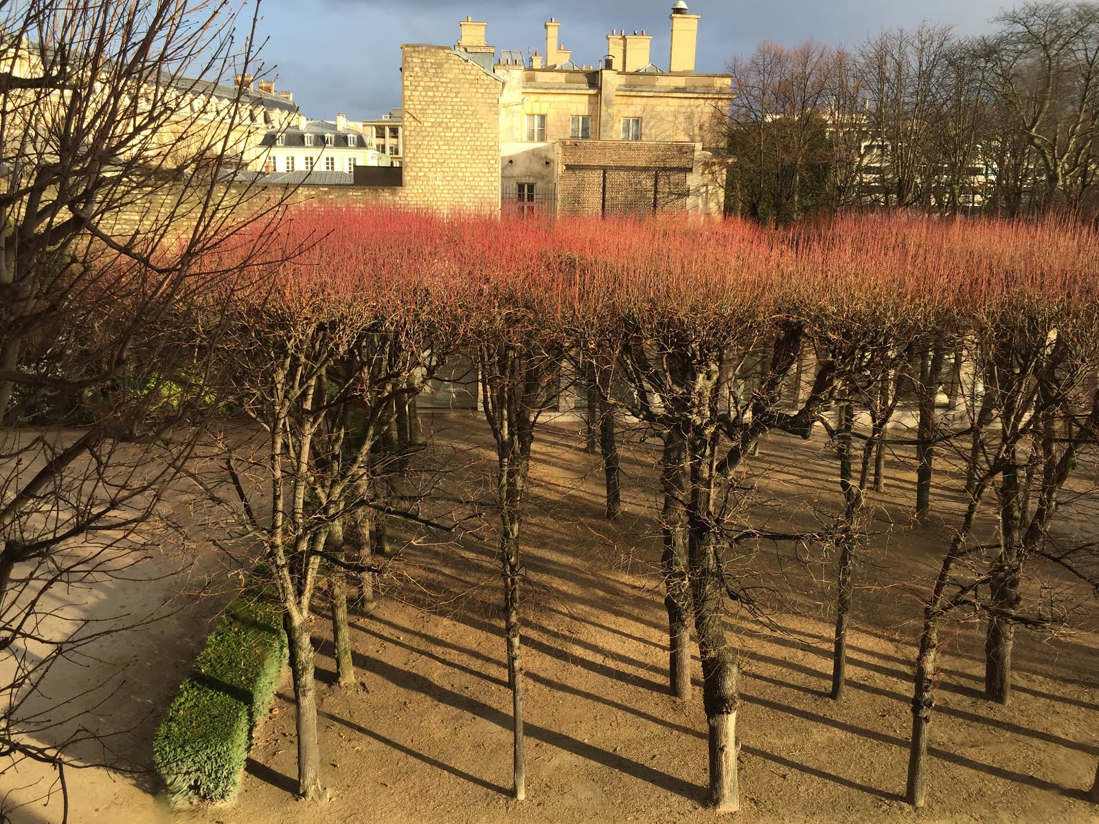 From the second floor of the Rodin, February