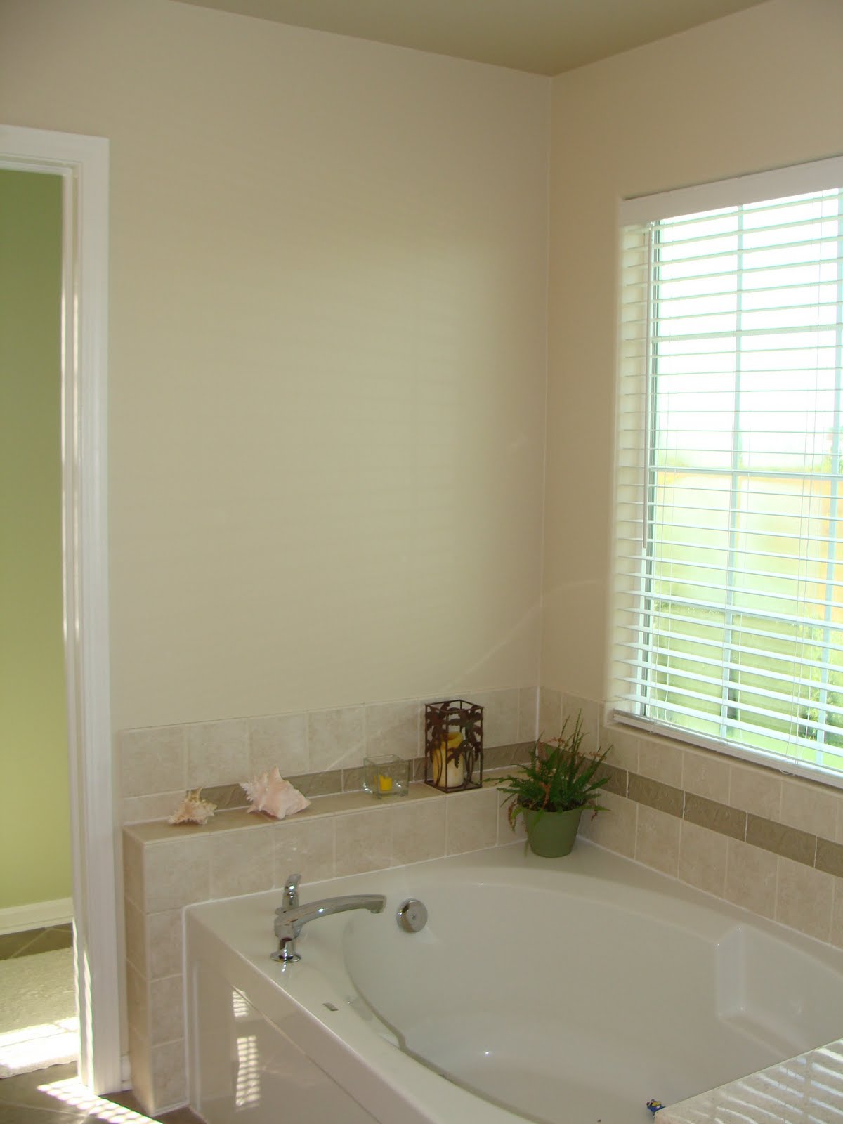 The Martha Initiative Painting the master bathroom