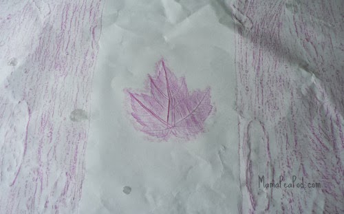 Lilacs Light In Leaves